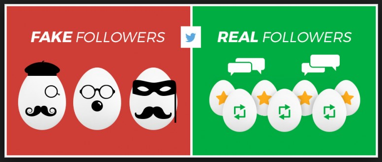 FakeRealTwitterFollowers